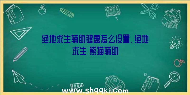 绝地求生辅助键盘怎么设置、绝地求生